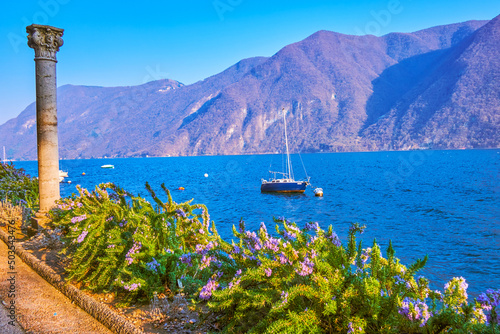 The scenic view on the line of blooming rosemary bushes and great mountains on the other siude of Lugano Lake, Switzerland photo