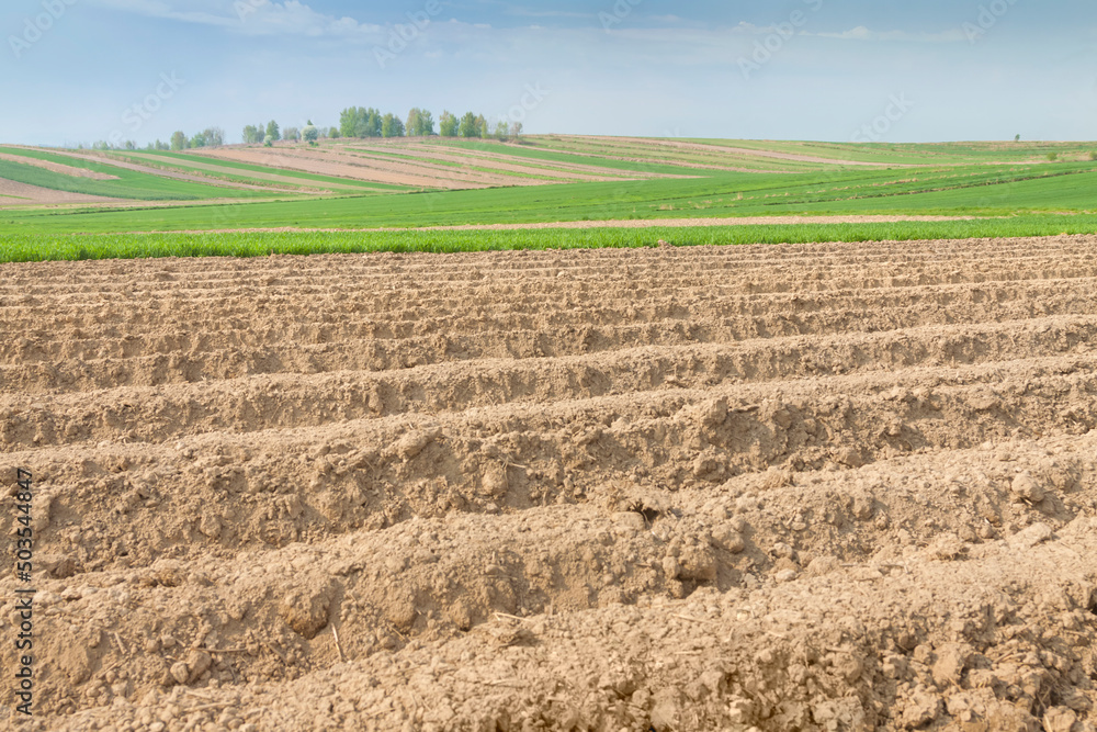 Plowed Field in the Springtime Plowed Field in the Springtime