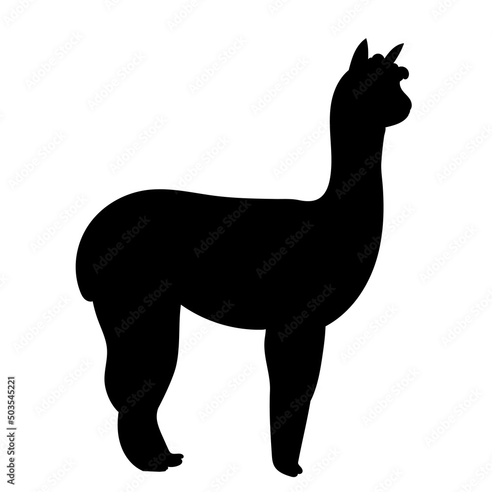 Naklejka premium lama silhouette, on white background, isolated, vector