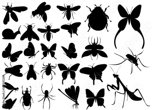 Fotobehang insects set silhouette, on white background, isolated, vector