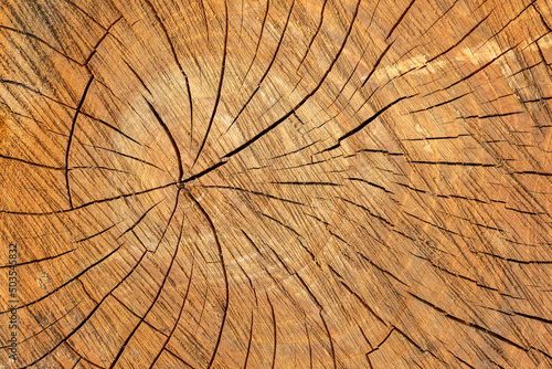 Cracks on old brown wood. Wooden background.
