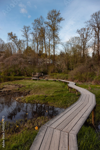 View of a Wooden Path across a swamp in Shoreline Trail, Port Moody, Greater Vancouver, British Columbia, Canada. Trail in a Modern City during a Sunny Blue Sunset Sky. Nature Background