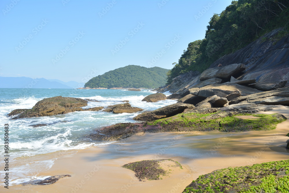 custom made wallpaper toronto digitalFigueira beach in Ubatuba, Brazil