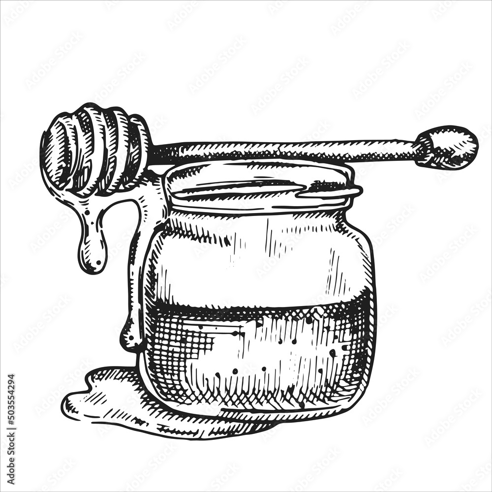 vector drawing in vintage style. honey. jar with honey, eco