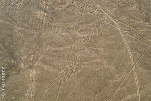 Hummingbird pattern in the Nazca lines