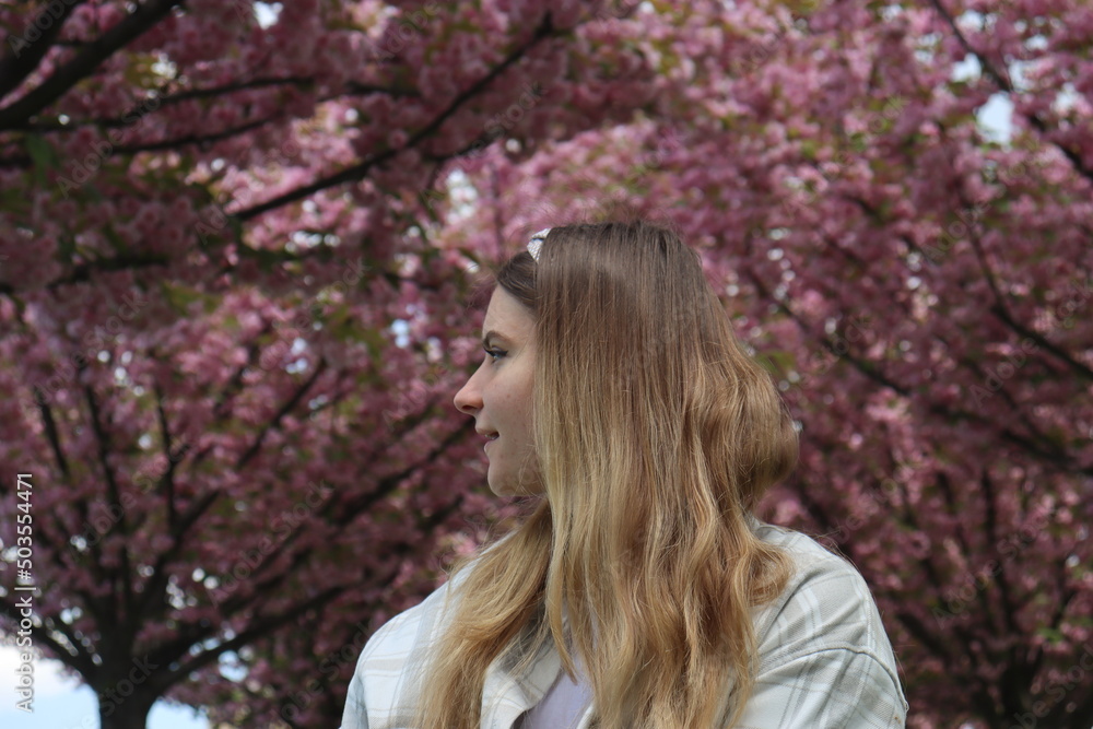 a girl walks in the park on a sunny spring day posing against the backdrop of a blooming Japanese cherry - cherry blossom a girl walks in the park on a sunny spring day posing against the backdrop of a blooming Japanese cherry - cherry blossom