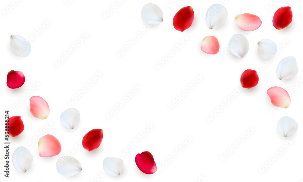 Realistic vector elements set of rose petals. Red, Pink and white petals of rose flower Realistic vector elements set of rose petals. Red, Pink and white petals of rose flower