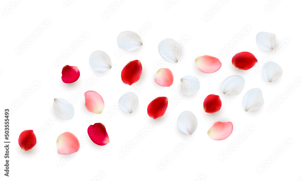 Realistic vector elements set of rose petals. Pink and white petals of rose flower Realistic vector elements set of rose petals. Pink and white petals of rose flower