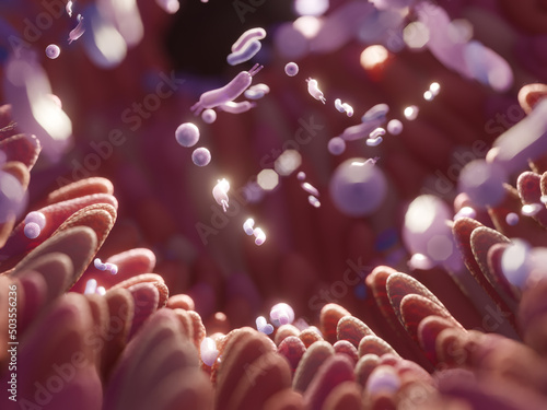 Microbiome intestine factories and microbiota. Gut health 3d render. Microvilli with factories in intestine 