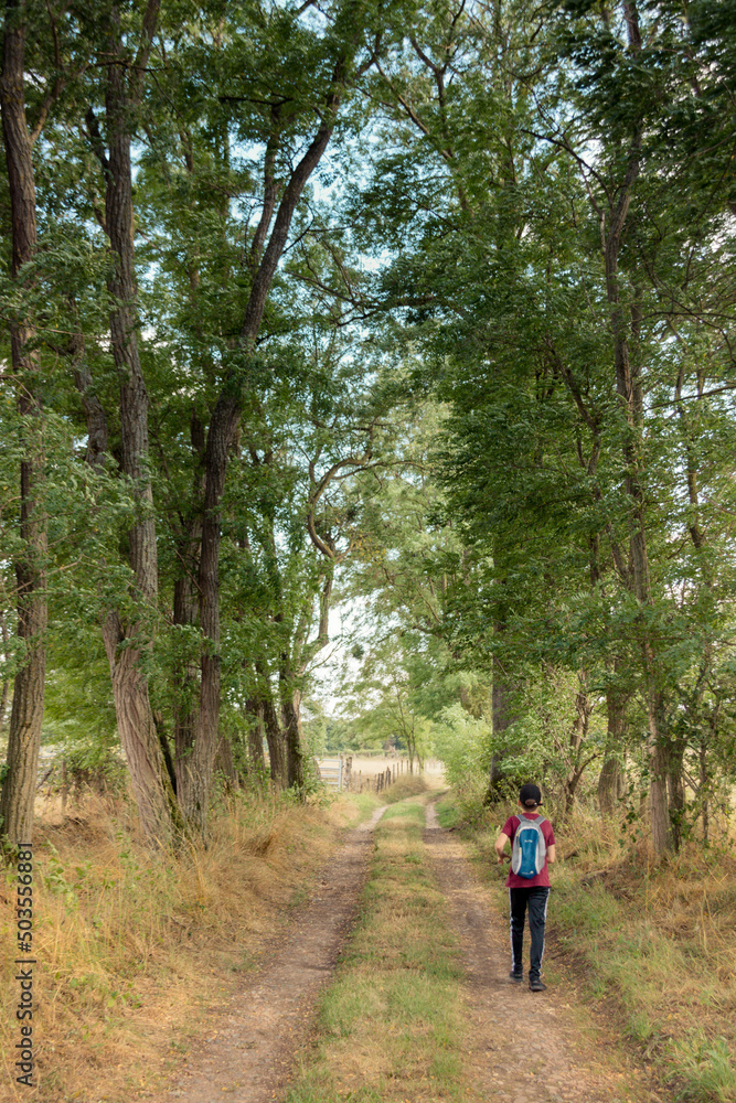 walk in the woods