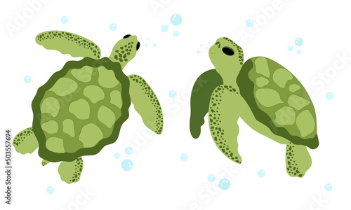  Ocean set with turtle. Green turtle.