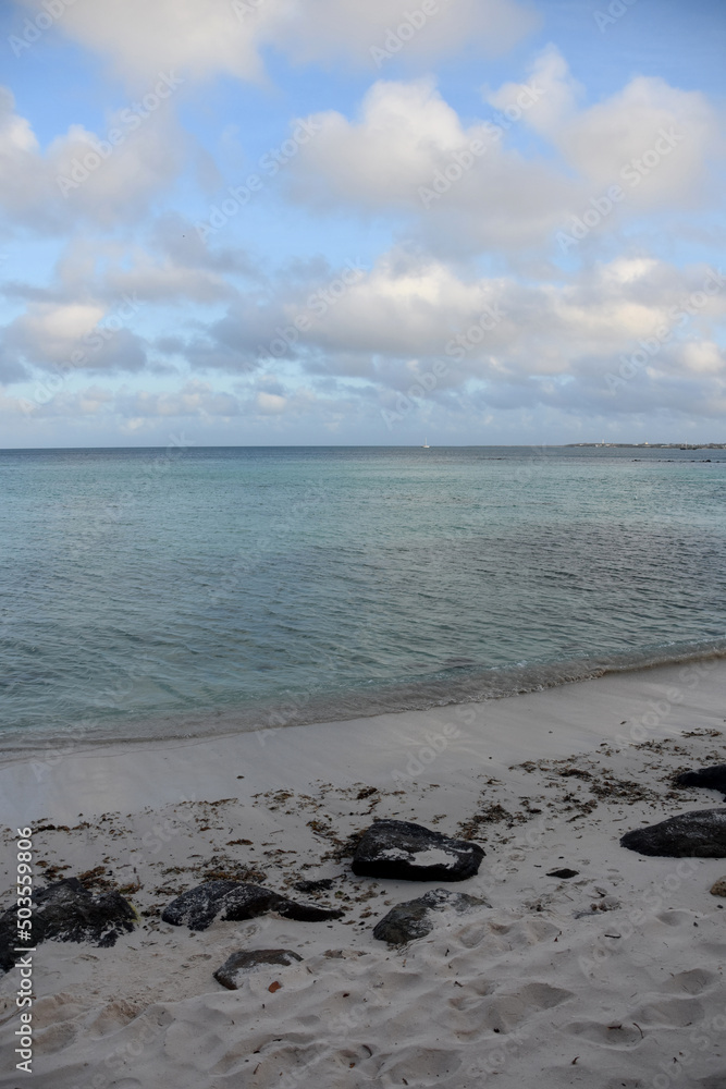 Fototapeta premium Stunning Ocean Views from Beach in Aruba