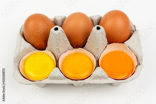 Photography Yolk different colours of chicken egg, yellow and orange, dark and bright, chick
