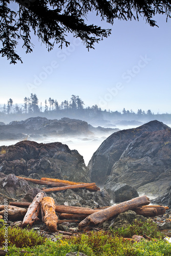 Driftwood logs on the Pacific Coast, Wild Pacific Trail, Vancouver Island, British Columbia, Canada