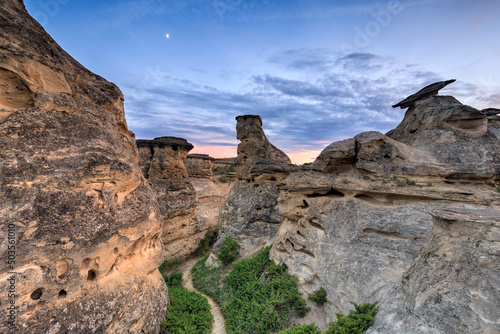 Tableau sur toile Trail winding through hoodoos at dusk, Badlands, Writing-on-Stone Provincial Par