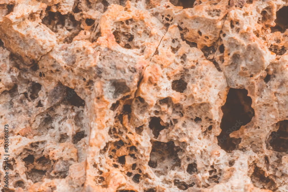 Abstract nature real photo background. Macro close up details dry rock crack stone solid foamy formations or lava volcanic, pumice texture ancient lunar style. Light orange vintage stock Abstract nature real photo background. Macro close up details dry rock crack stone solid foamy formations or lava volcanic, pumice texture ancient lunar style. Light orange vintage stock