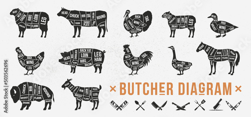 Butcher diagrams of meat cuts. Horse, Goat, Lamb, Pork, Duck, Chicken, Turkey, Goose meat cuts. Cuts of meat set for butchery, bbq. Meat Cleaver, Chef knife, Fork icons. Vector illustration