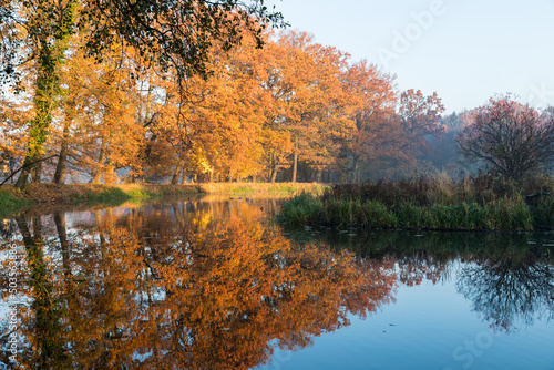 On the shore of the pond in the park, fall colors of the leaves, reflection of trees in the water.