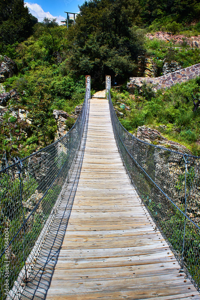 suspension bridge  with nature landscape in the background in el oro estado de mexico 