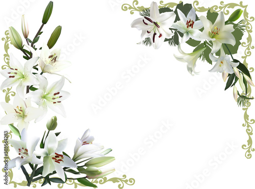 isolated pure white lily flower frame