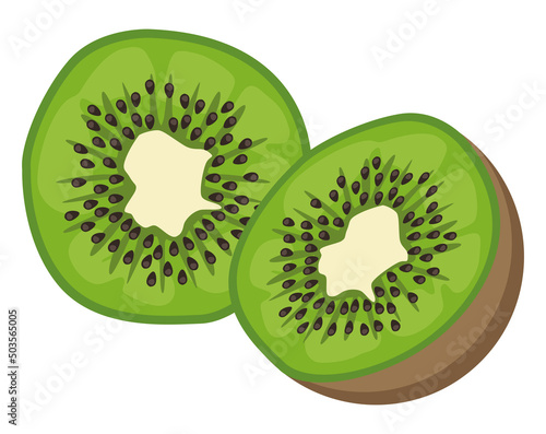 fresh kiwi fruit