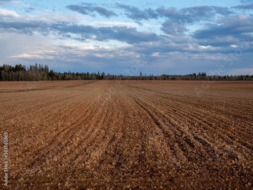 Evening view of arable land in front of the forest. Landscape with agricultural land, recently played and prepared for the crop.