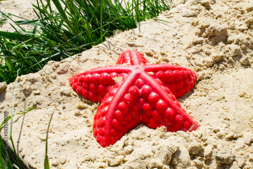 Children's sandbox. Sandbox molds. Children play in the sandbox. Sand on the playground.