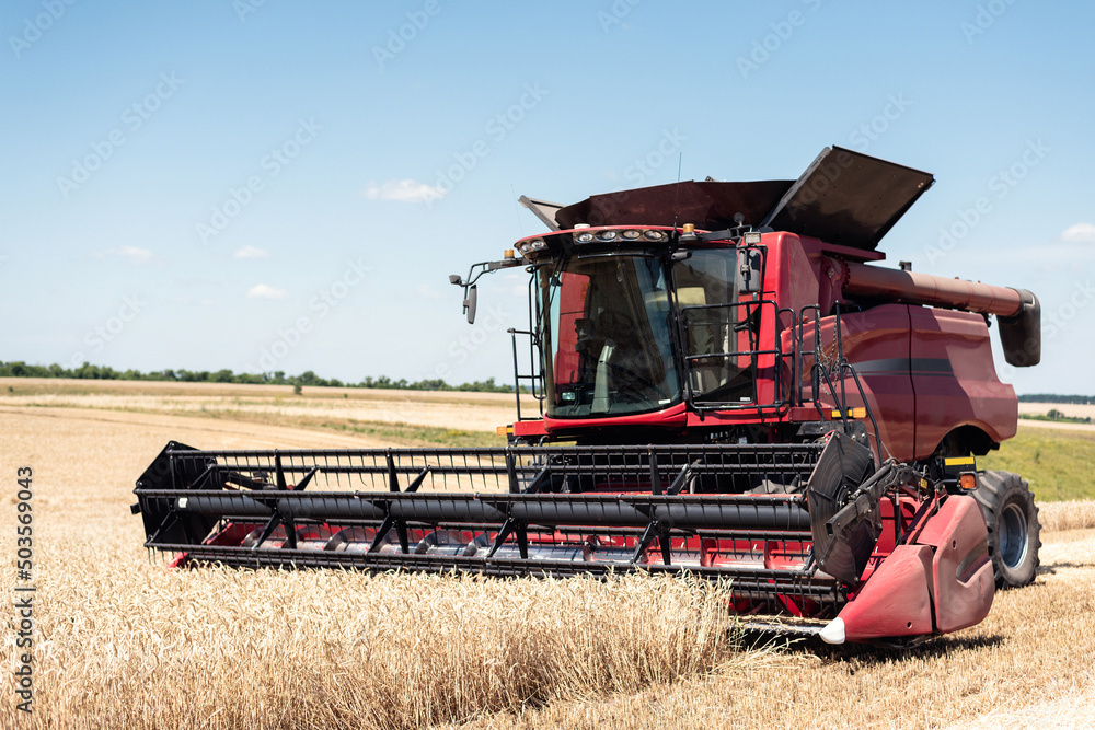 The combine harvests ripe wheat in the field. Red combine harvester on the field. The combine harvests ripe wheat in the field. Red combine harvester on the field.