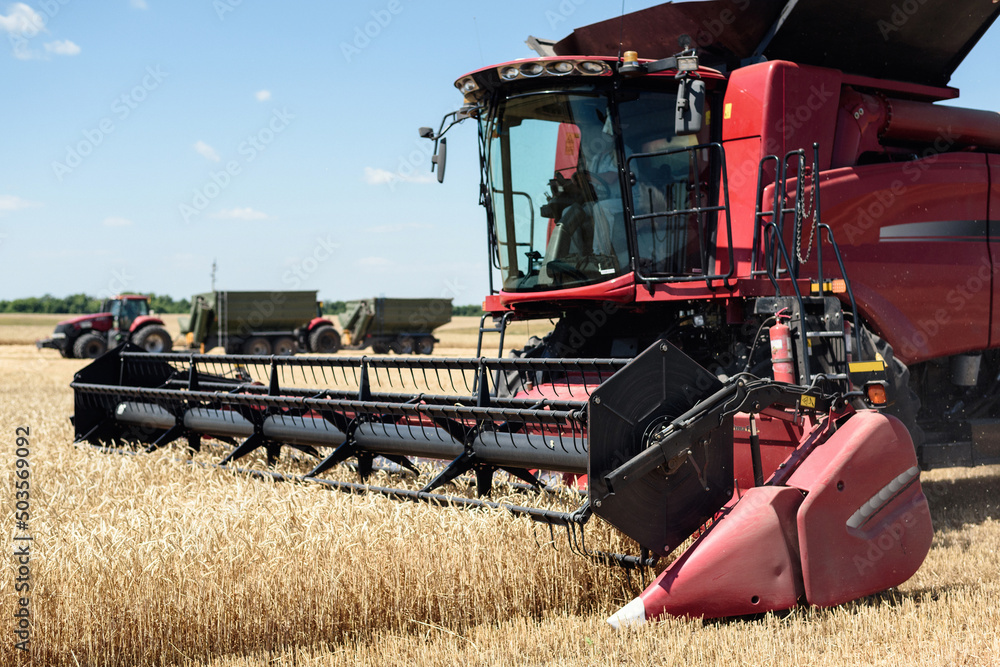 The combine harvests ripe wheat in the field. Red combine harvester on the field. The combine harvests ripe wheat in the field. Red combine harvester on the field.