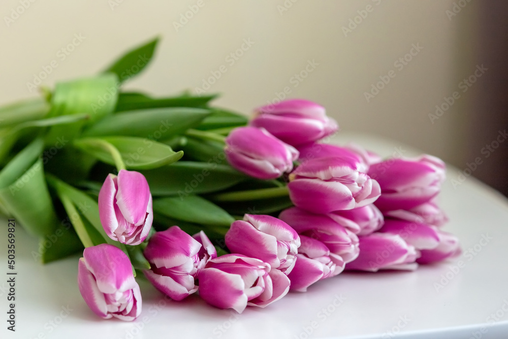 A big bouquet of beautiful pink tulips lies on a white background .