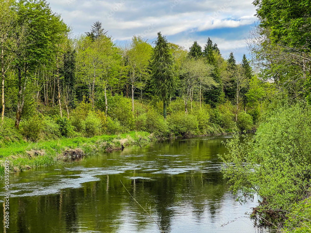 lake in the forest