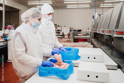Meat processing plant.People working at a chicken factory - stock photo.Automated production line in modern food factory.