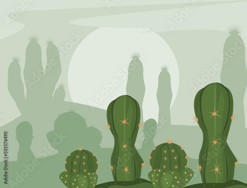 green cactus and sun