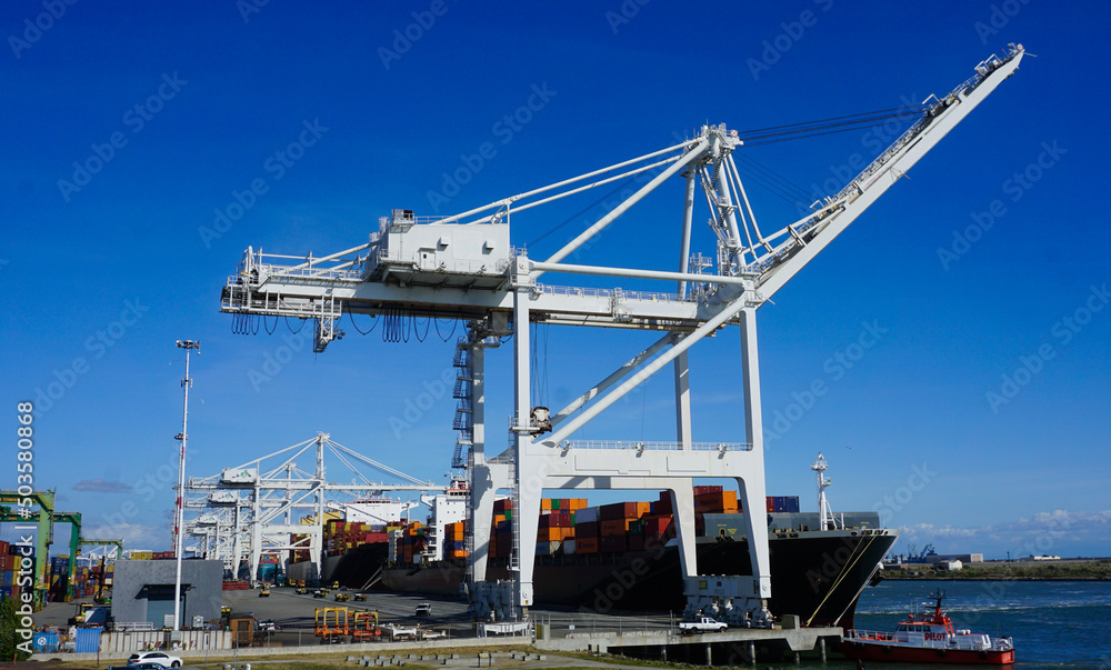 Shipping cranes at container port