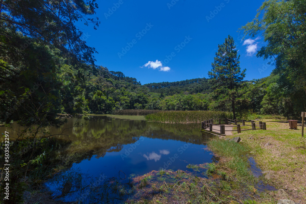 SÃO PAULO, SP, PARQUE ESTADUAL DA CANTAREIRA - Trilha entre Águas Claras e Pedra Grande. Lago das Carpas.. São Paulo. (Foto: Ormuzd Alves/Folhapress) SÃO PAULO, SP, PARQUE ESTADUAL DA CANTAREIRA - Trilha entre Águas Claras e Pedra Grande. Lago das Carpas.. São Paulo. (Foto: Ormuzd Alves/Folhapress)