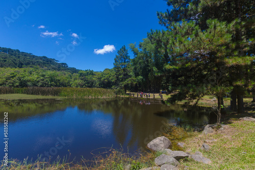 Parque Estadual da Cantareira photo