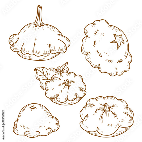 Collection of pattyson vegetables. Beautiful different patisson. Vector illustration. isolated Linear hand drawing, outline for design, decor and decoration photo
