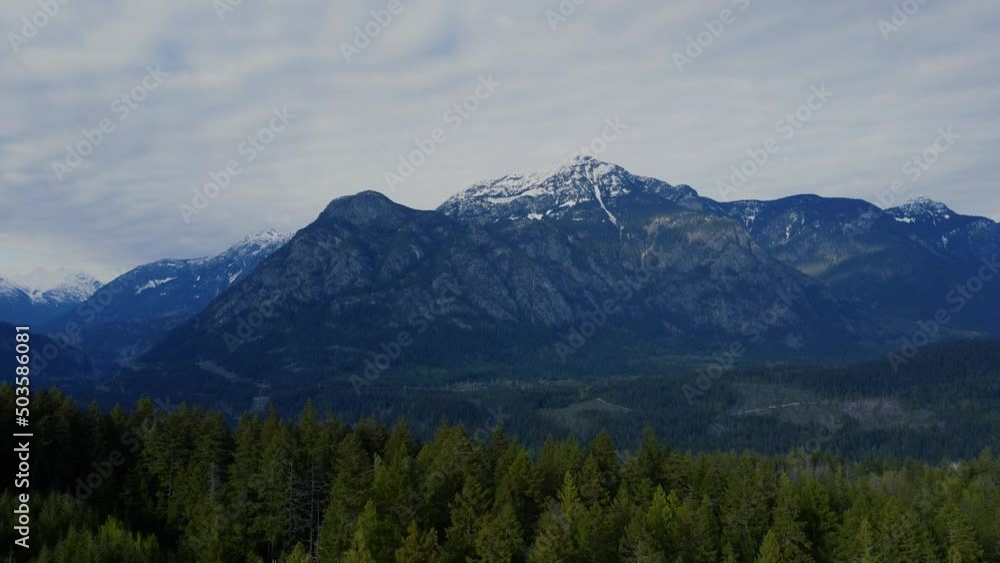 Drone view of the cliff leaving in the coniferous forest Drone view of the cliff leaving in the coniferous forest
