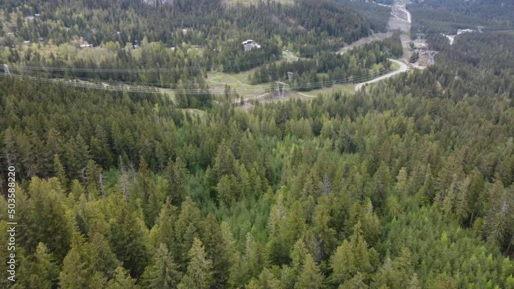 Top view on the road in thick conifer The forest in Vancouver Top view on the road in thick conifer The forest in Vancouver