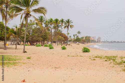 Photos of a beach on a cloudy day from different angles and places, the tone of the photos is warm, in the photos you can see vegetation, trees, shrubs, grass, sand, sky, beach, sea, rocks, paths.