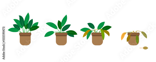 Growing phase flowerpot in flat style. Gardening concept. Vector illustration. Stock image.