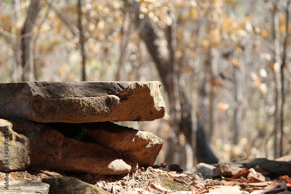 custom made wallpaper toronto digitalstone