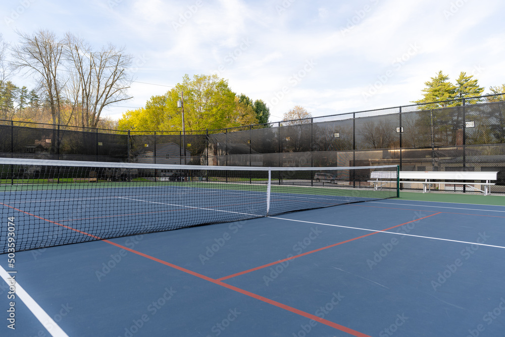 custom made wallpaper toronto digitalNew blue tennis courts with white lines and red pickleball lines