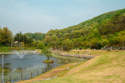 Chomakgol Eco Park pond and green forest in Gunpo  Korea