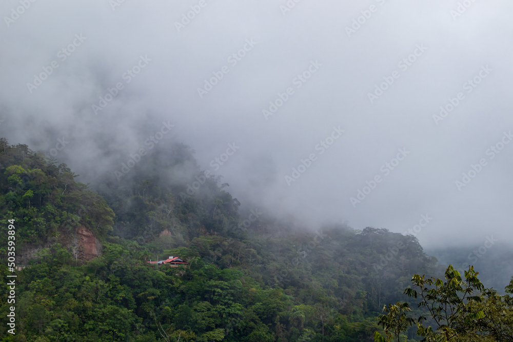 A lonely house under the leafy hills of the Peruvian jungle and the mist.