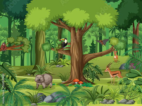 Forest scene with various wild animals