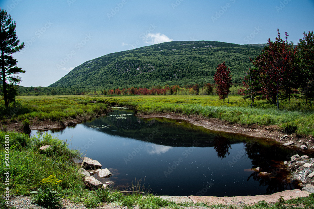 Fototapeta premium Lake in Arcadia, Maine.