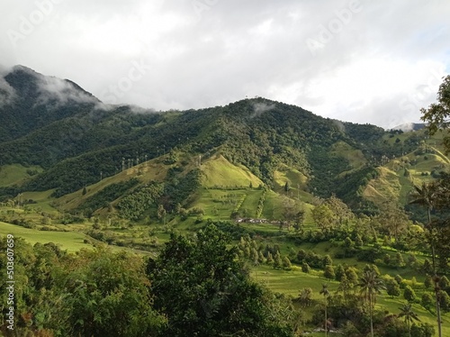 Vista panoramica del Valle del Cocora. Quindio, Colombia.