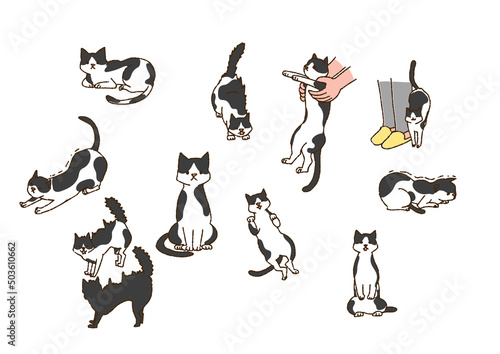 いろいろな猫のポーズ　人間と暮らす幸福なペット　温かみのある手書きの動物