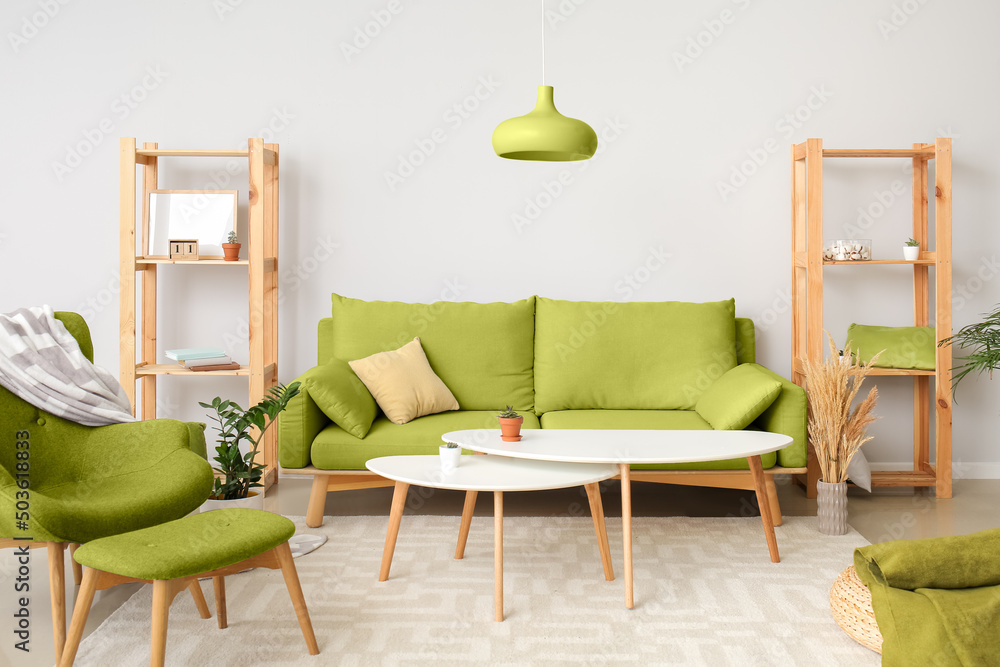 What Colour Furniture Goes With Green Sofa